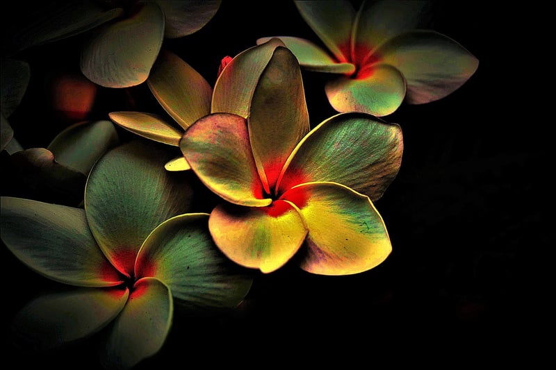 Contemporary Art Image